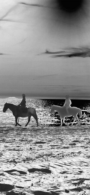 solarizzazione__0003 solarizzazione__0003