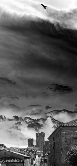 solarizzazione__0004 solarizzazione__0004