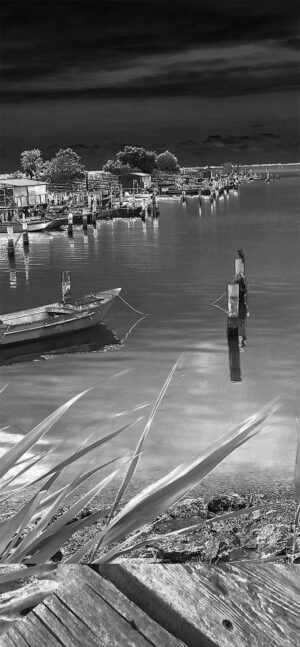 solarizzazione__0005 solarizzazione__0005