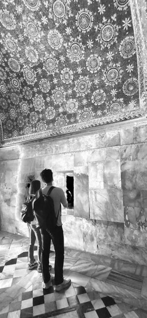 solarizzazione__0010 solarizzazione__0010