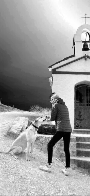 solarizzazione__0016 solarizzazione__0016